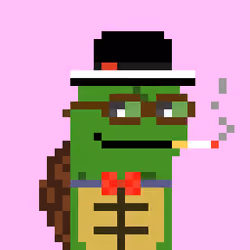 Turtle #1272