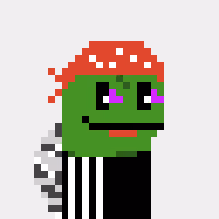 Turtle #474