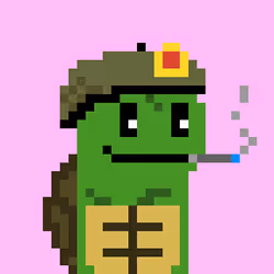 Turtle #1389