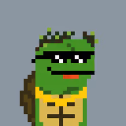 Turtle #790