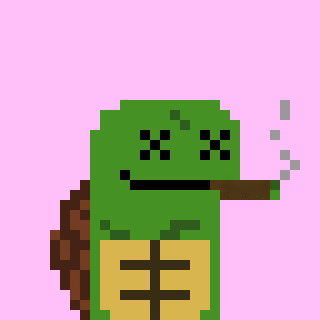 Turtle #418