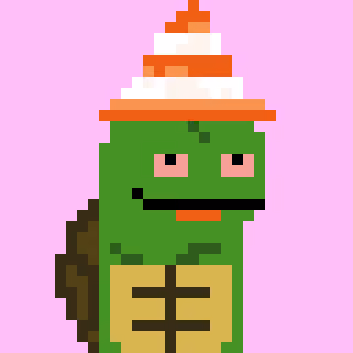 Turtle #1019