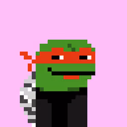 Turtle #911