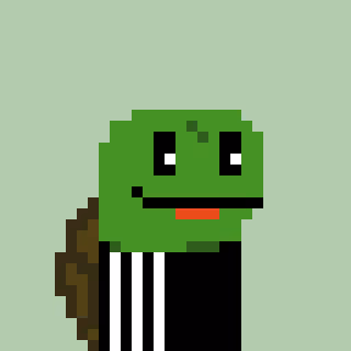 Turtle #865
