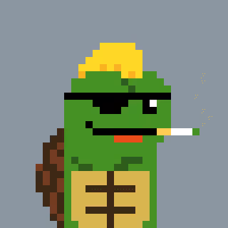 Pixelturtles
