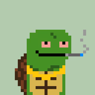 Pixelturtles
