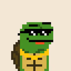 Turtle #1346