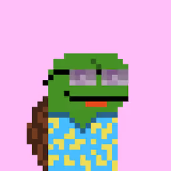 Turtle #504