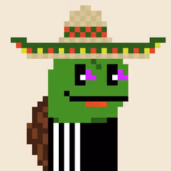 Turtle #503