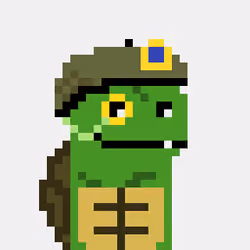 Turtle #713