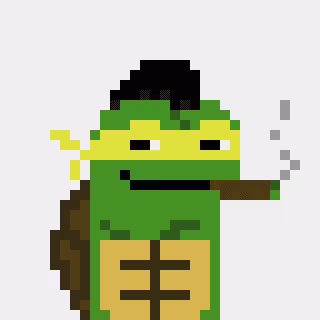 Turtle #998