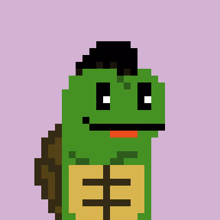 Turtle #763