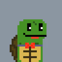 Turtle #910