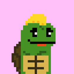 Turtle #918