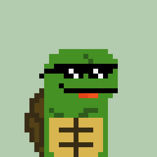 Turtle #872