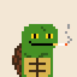 Turtle #685