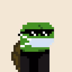 Turtle #1312