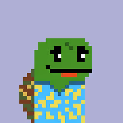 Turtle #1160