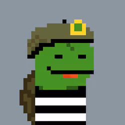 Turtle #853
