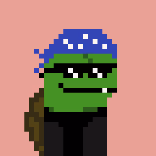 Turtle #887