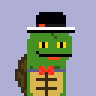 Turtle #1030