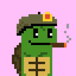 Turtle #1003