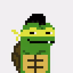 Turtle #1012