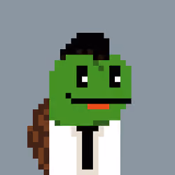 Turtle #327
