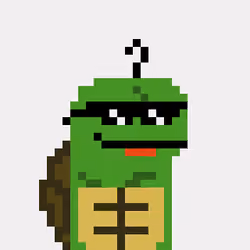 Turtle #1380