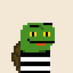 Turtle #1029