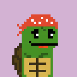 Turtle #1119