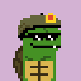 Turtle #553