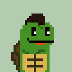 Turtle #328