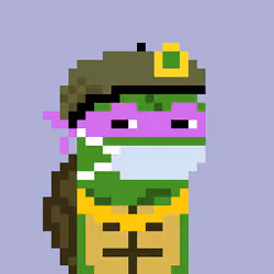 Turtle #1382