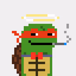 Turtle #913