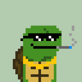 Turtle #915