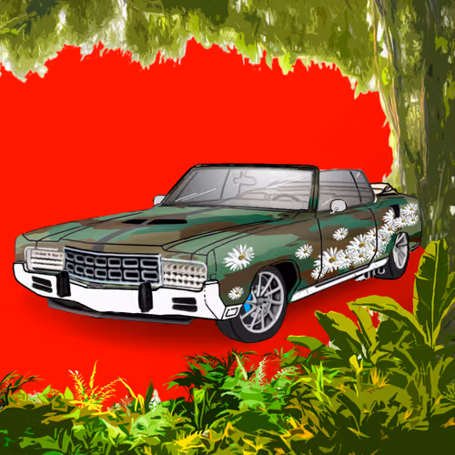 Rad Rides