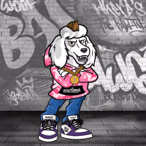 Poodle 1461