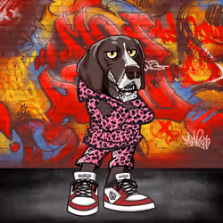 German Shorthaired Pointer 2777