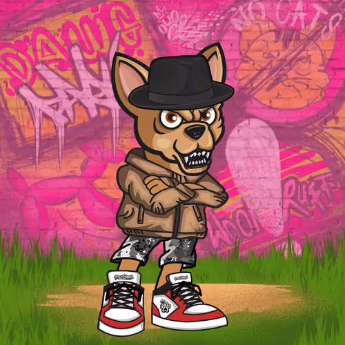 Chihuahua 1313