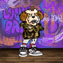 Shih Tzu 0287