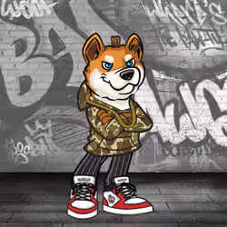 Shiba Inu 0638