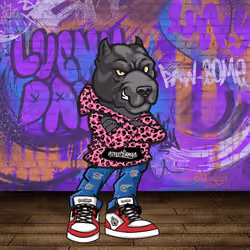 Black Pitbull 0961