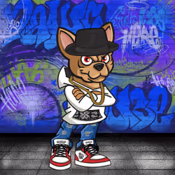 Chihuahua 1217