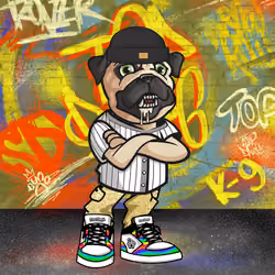 Pug 1584