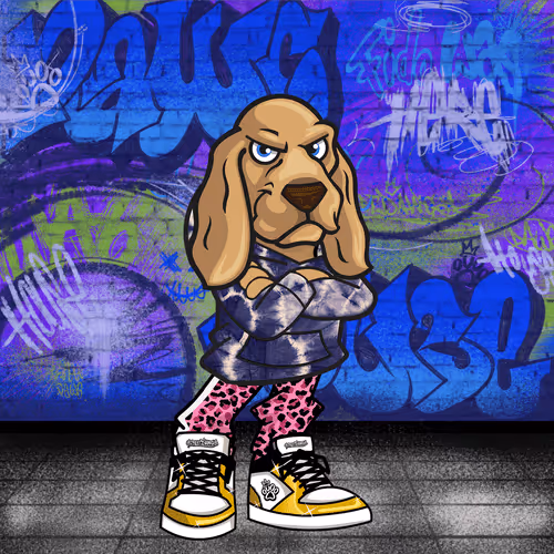 Thestreetdawgs