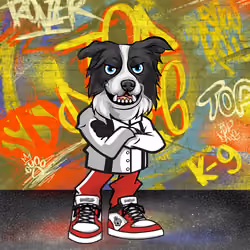 Border Collie 1925