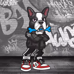 Boston Terrier 0719