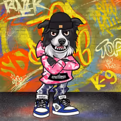 Border Collie 2314