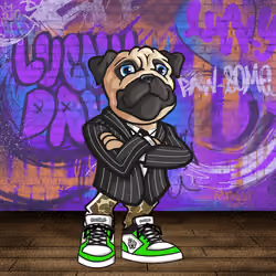Pug 0146
